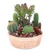 Cactus Garden (5 in.)