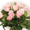 Premium Pink Roses