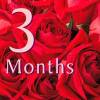 3 Months of Roses