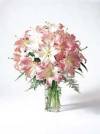 Teleflora Pink Lilies