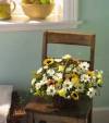 Teleflora Yellow and White Basket