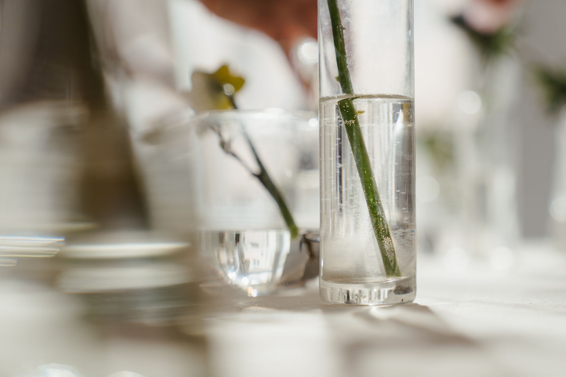 Green flower stems standing in clear water in a tall glass vase on a table