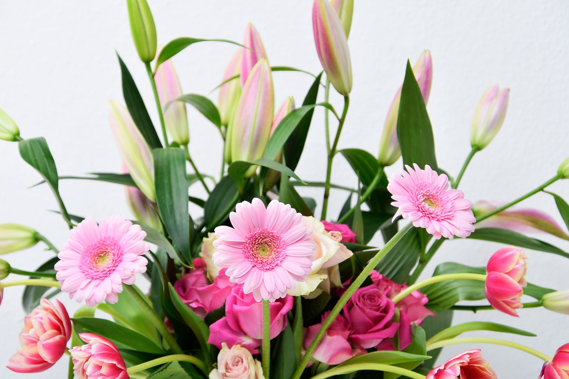 A bouquet of pink gerbera daisies, pink lilies, and roses against a white wall