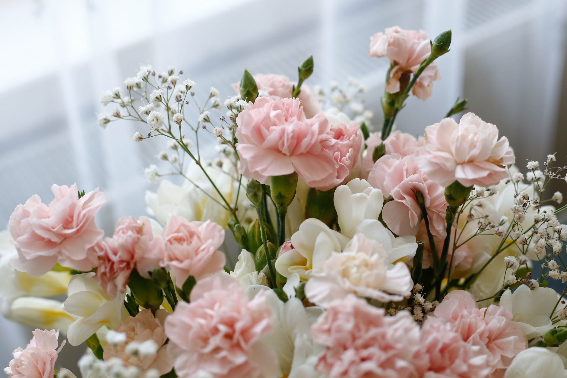 A bouquet of soft pink carnations with white baby&rsquo;s breath and cream blooms