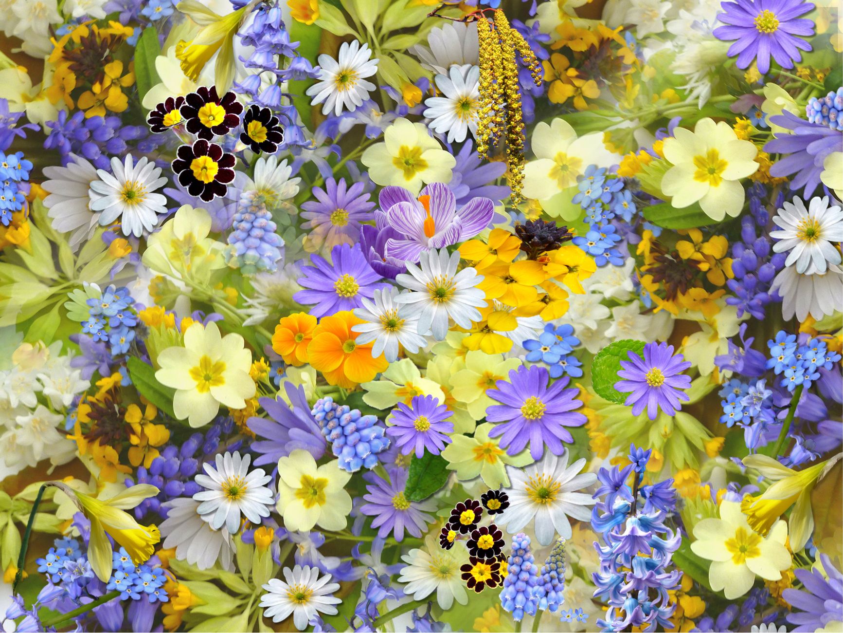 A dense mosaic of colorful spring flowers in purple, yellow, orange, and white