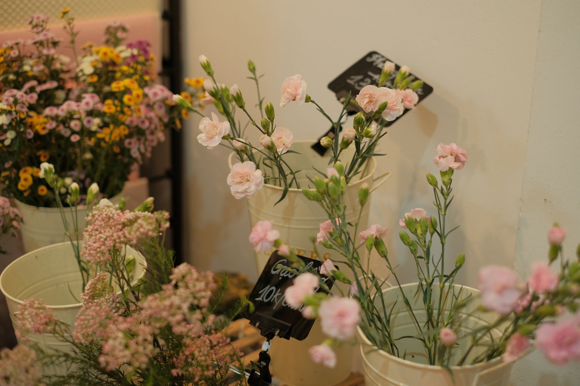 Pink carnations in white metal buckets with chalkboard price tags in a flower display