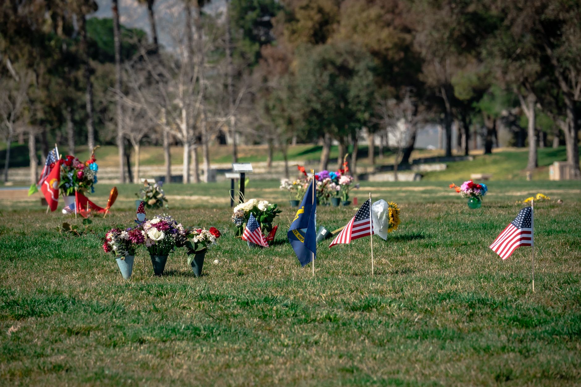 Small American flags and flower arrangements placed in vases on a green cemetery lawn