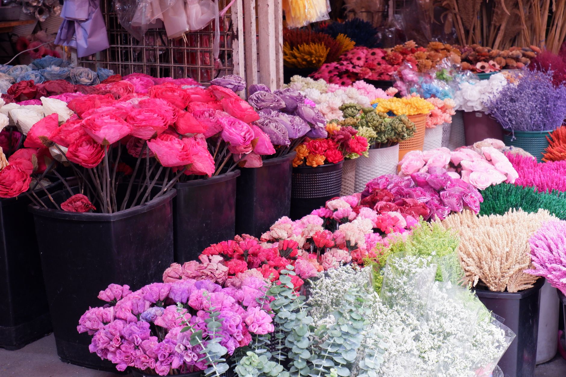 Buckets of pink roses, purple stock, yellow mums, and dyed flowers at an outdoor flower market stall