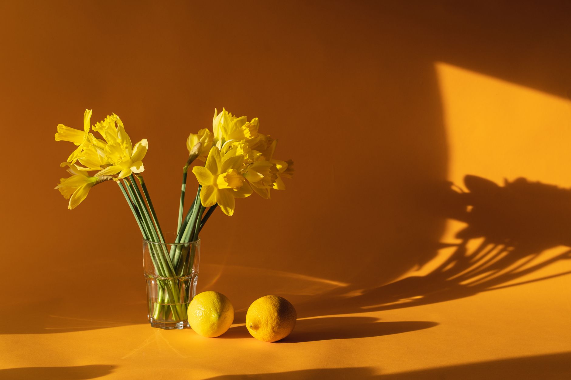 A glass of bright yellow daffodils beside two fresh lemons against a warm golden backdrop