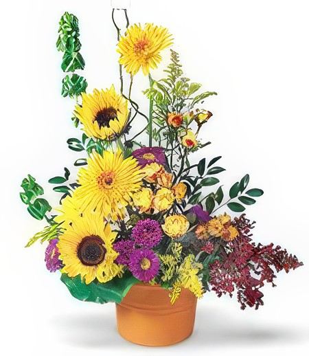 Yellow Gerbera Arrangement &mdash; Flower Delivery