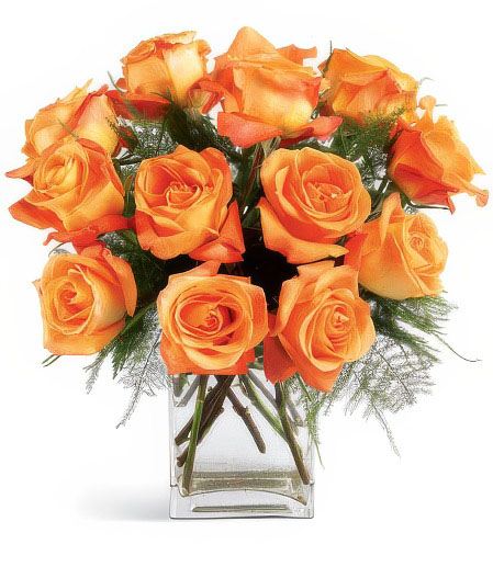 Blazing Rose Beauty &mdash; Flower Delivery