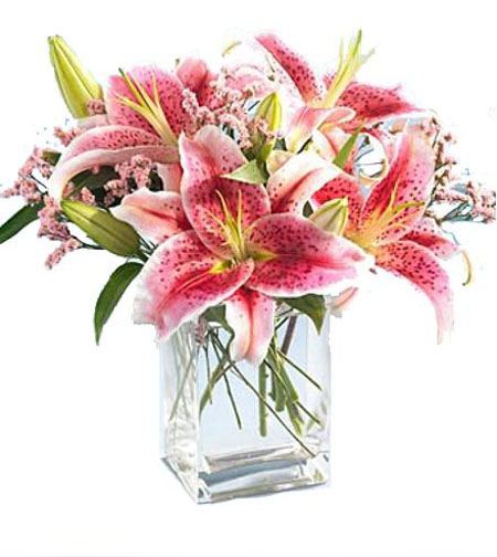 My Pink Lily &mdash; Flower Delivery