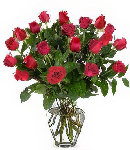 Two-Dozen Red Roses &mdash; Flower Delivery