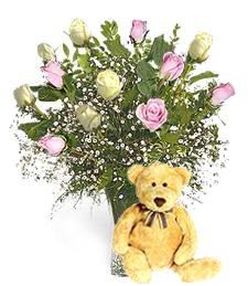 Bear w/ 1-Dz White & Pink Roses &mdash; Gift Delivery