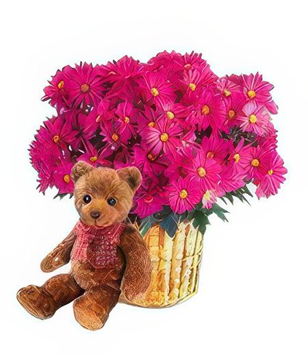 Hot Pink Chic &mdash; Flower Delivery