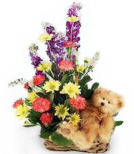 Spring Meadow Basket & Cuddly Bear &mdash; Gift Delivery