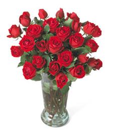 Robustly Red Roses &mdash; Flower Delivery