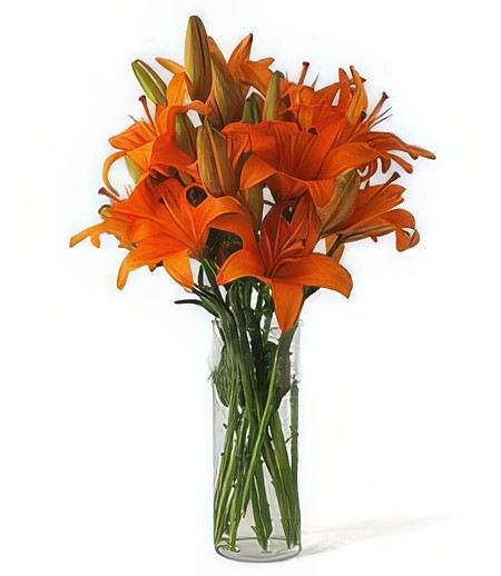 Orange Ensemble &mdash; Flower Delivery