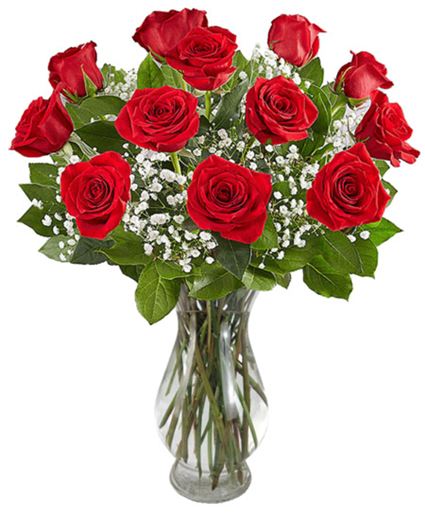 Rose Devotion &mdash; Flower Delivery