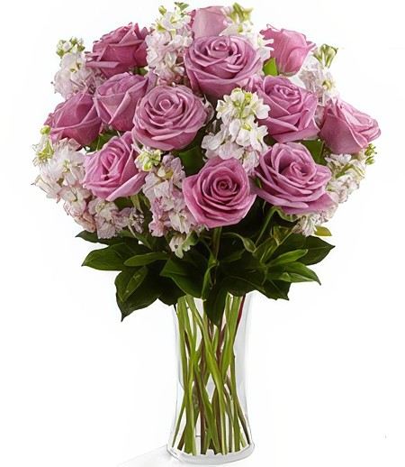 Lavender Serenity &mdash; Flower Delivery