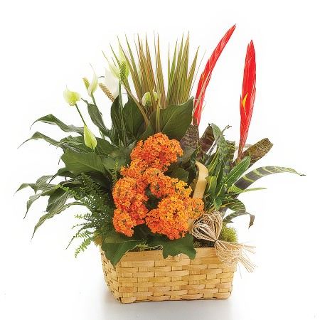 Dazzling Garden Array &mdash; Flower Delivery