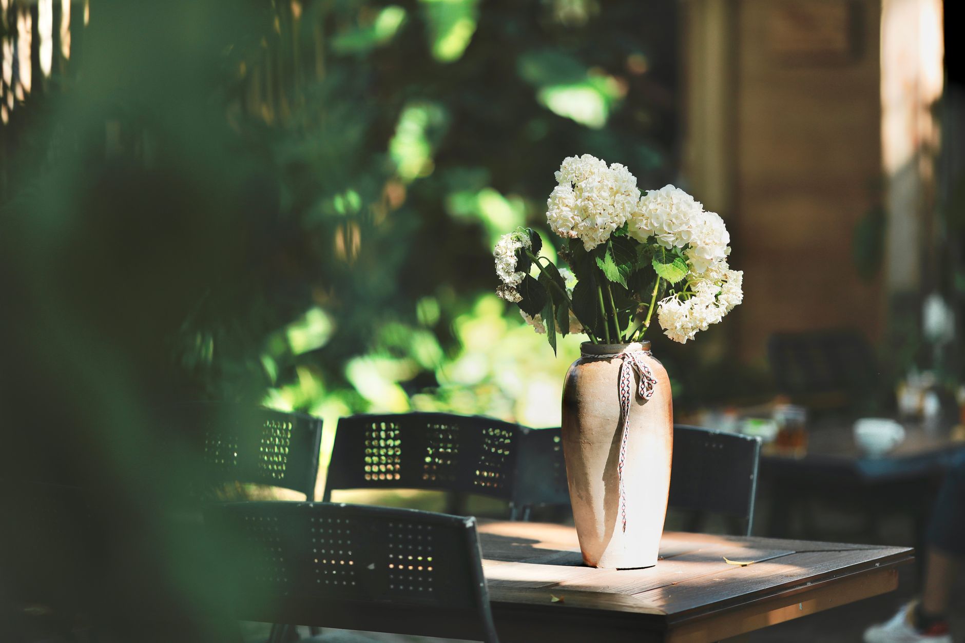A vase of white hydrangea heads on a sunlit wooden table with soft green leaves behind