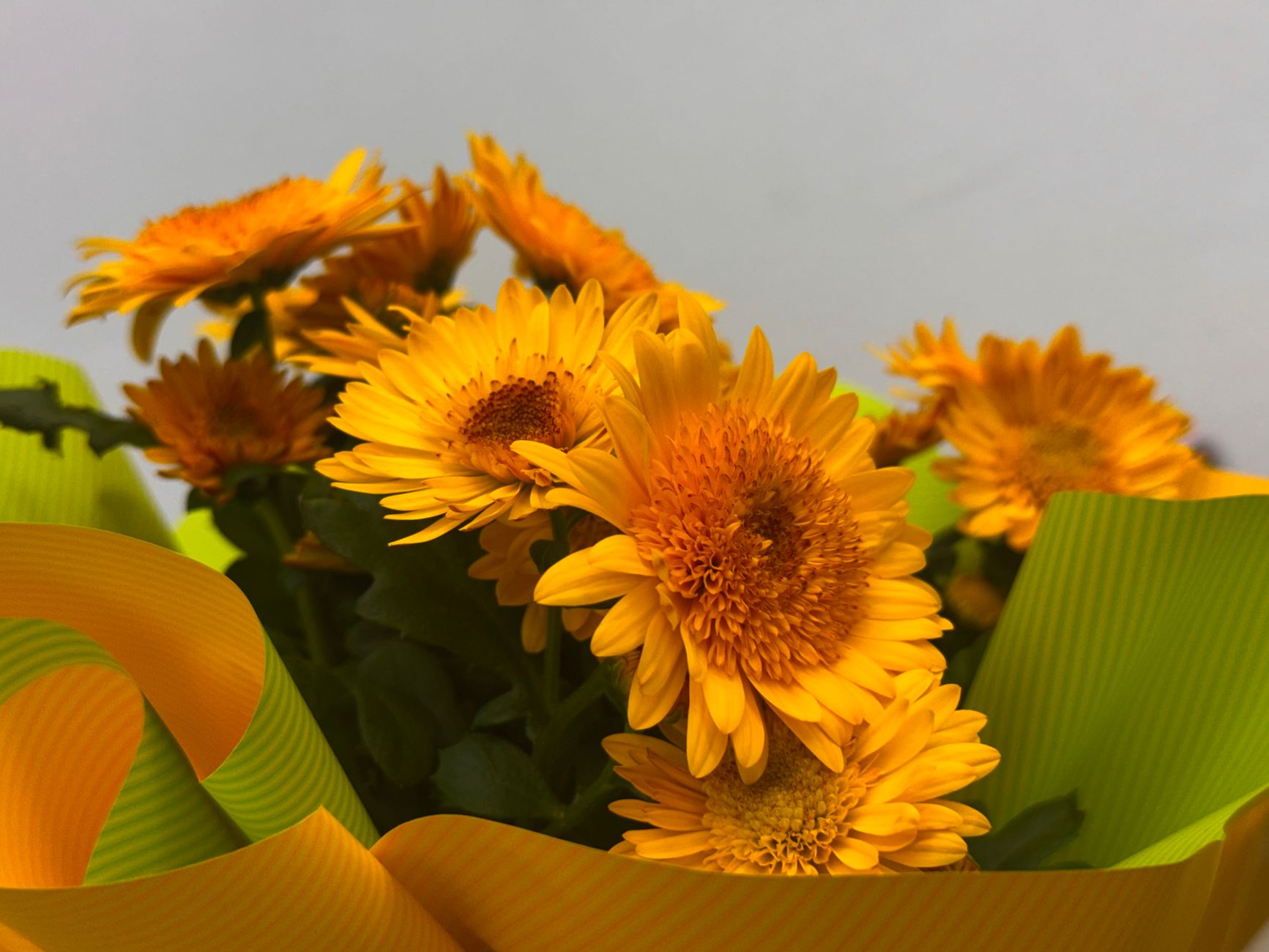 A bunch of bright yellow daisy-like flowers wrapped in green paper