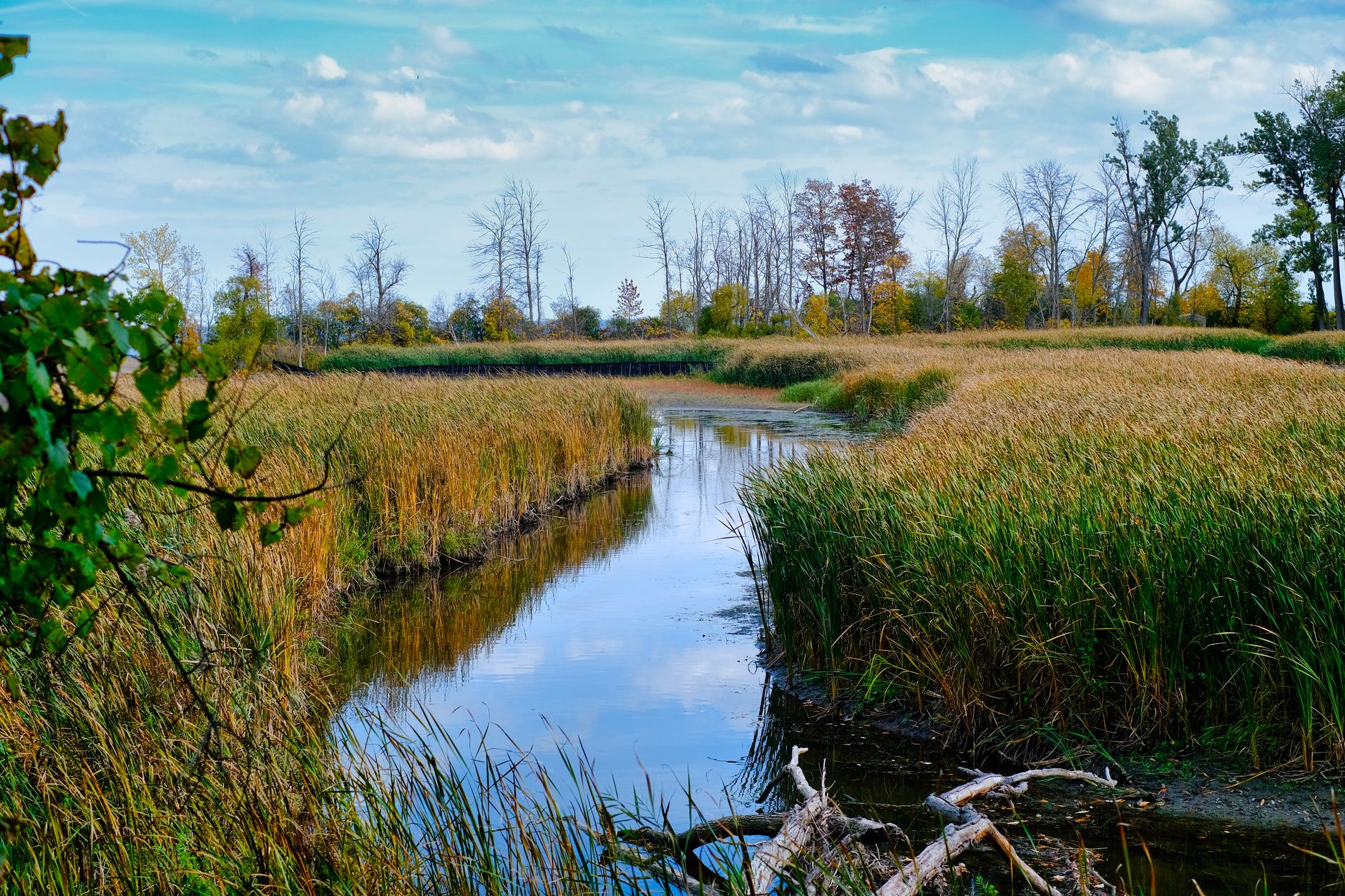 A river winding through green wetlands and grass under a colorful sky