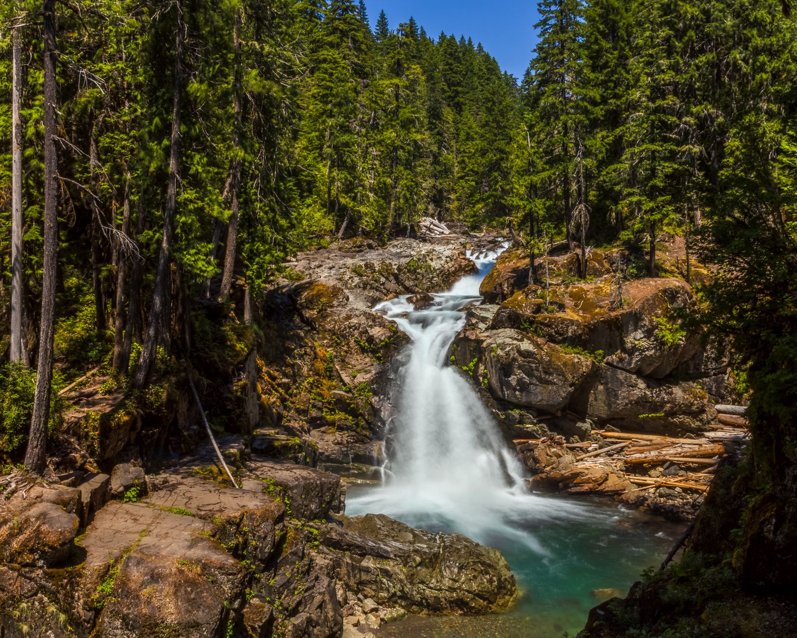 A waterfall cascading over rocks into a turquoise pool in a dense evergreen forest