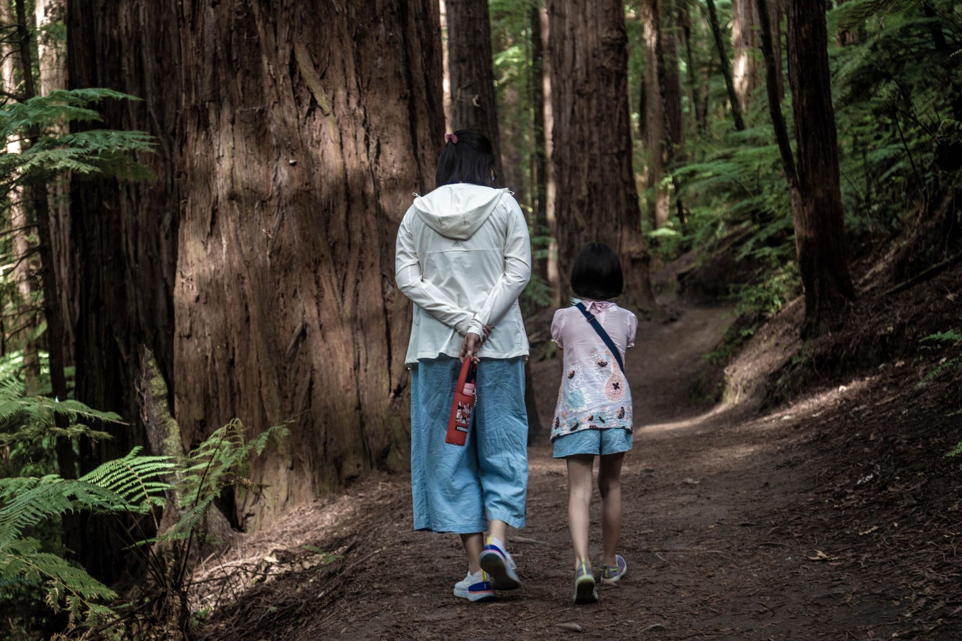 A mother and young daughter walking along a dirt trail through tall redwood-style trees and ferns