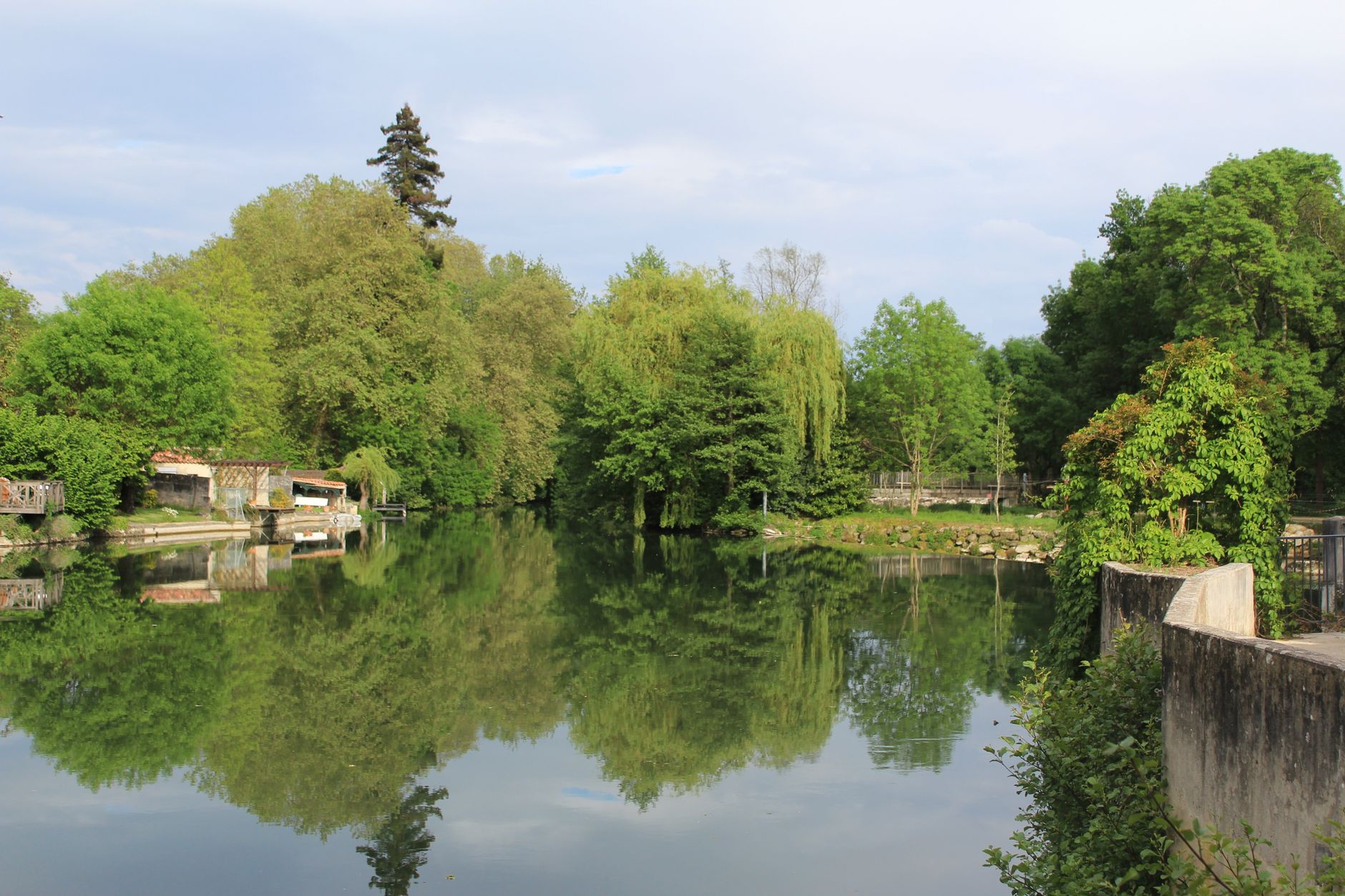 Green trees reflected in the calm water of a river under a blue sky