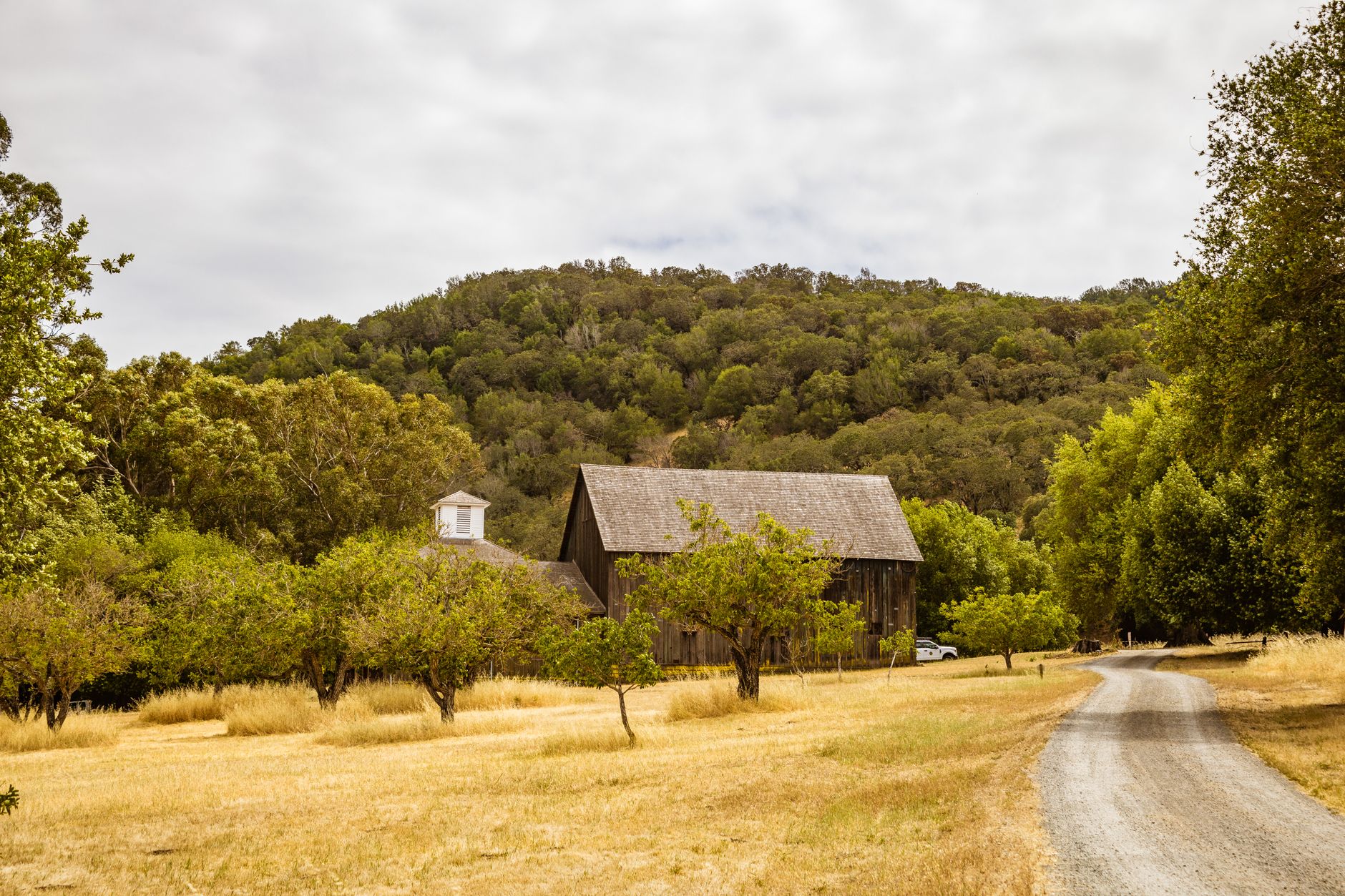 A gravel road leading to an old wooden barn at the base of a forested hill