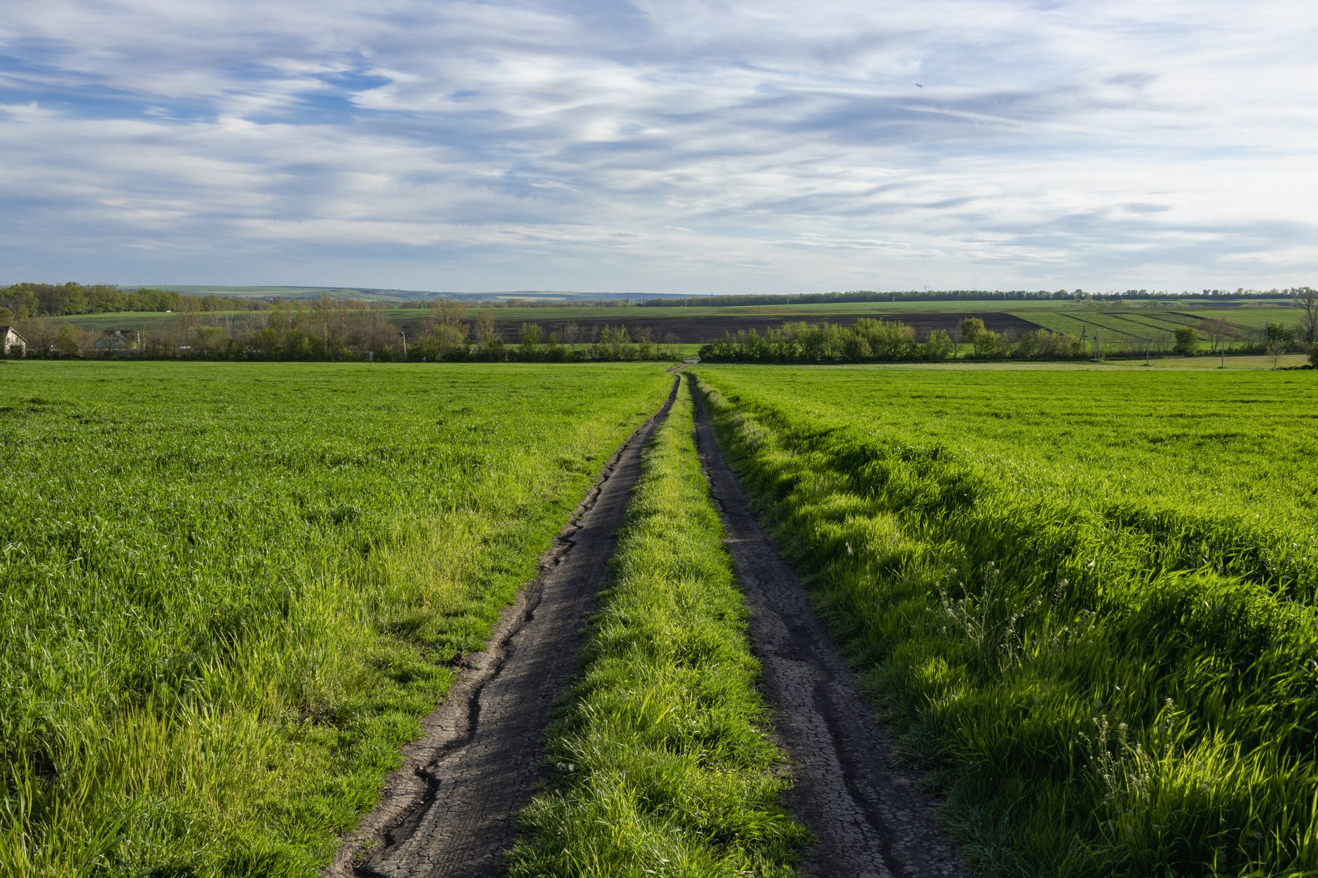 A dirt track stretching through bright green fields beneath a wide cloudy sky