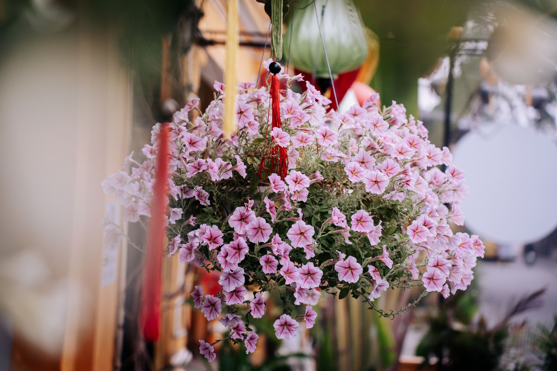 A hanging basket overflowing with pink and white petunias