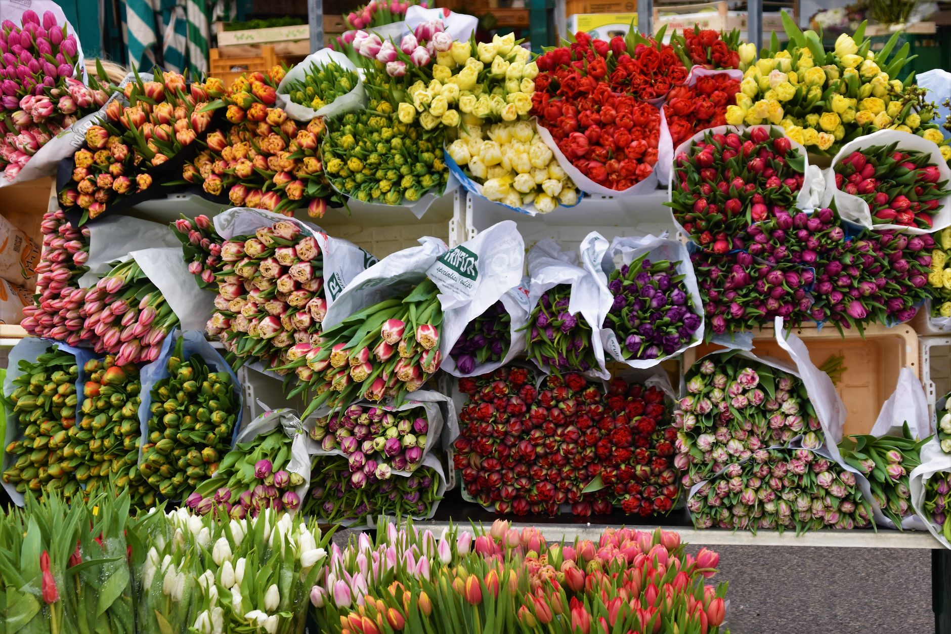 A flower market stand packed with bunches of tulips in red, pink, yellow, and purple
