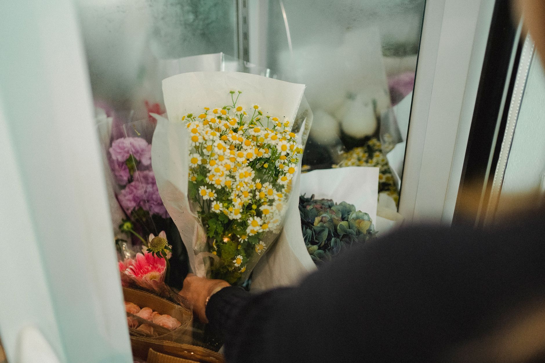 A florist reaching into a glass-front cooler to place wrapped bouquets inside