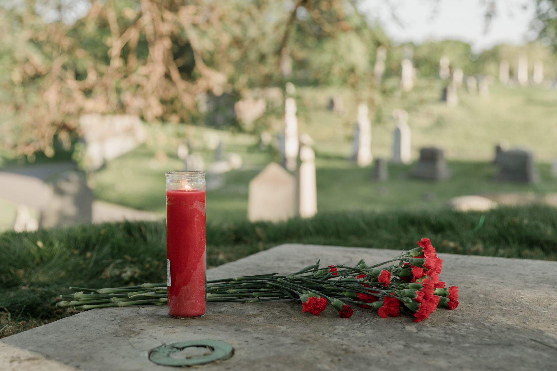 Red carnations and a tall red candle resting on a stone slab in a quiet cemetery