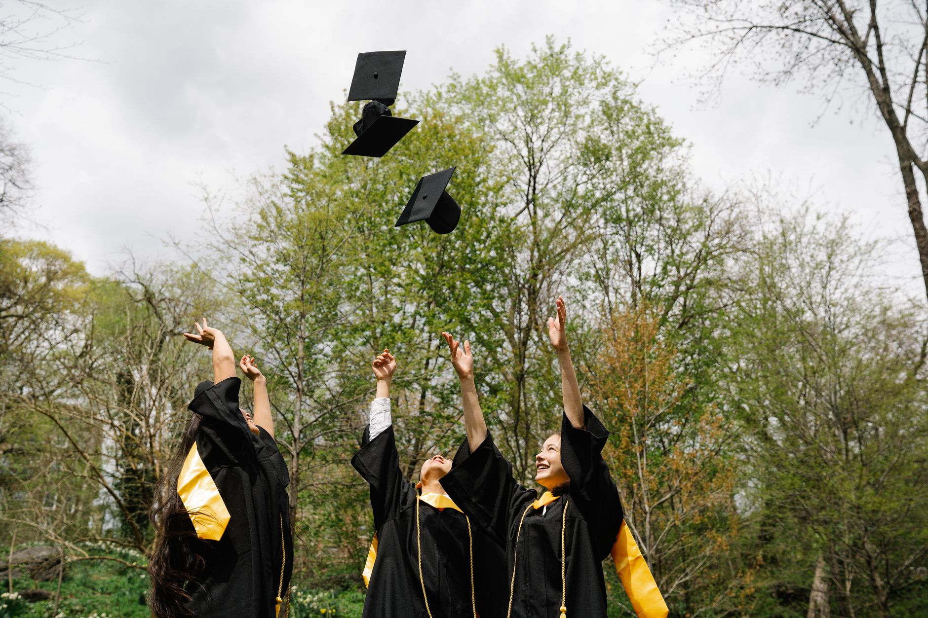 Three graduates in black gowns with gold stoles tossing their caps into the air among green trees