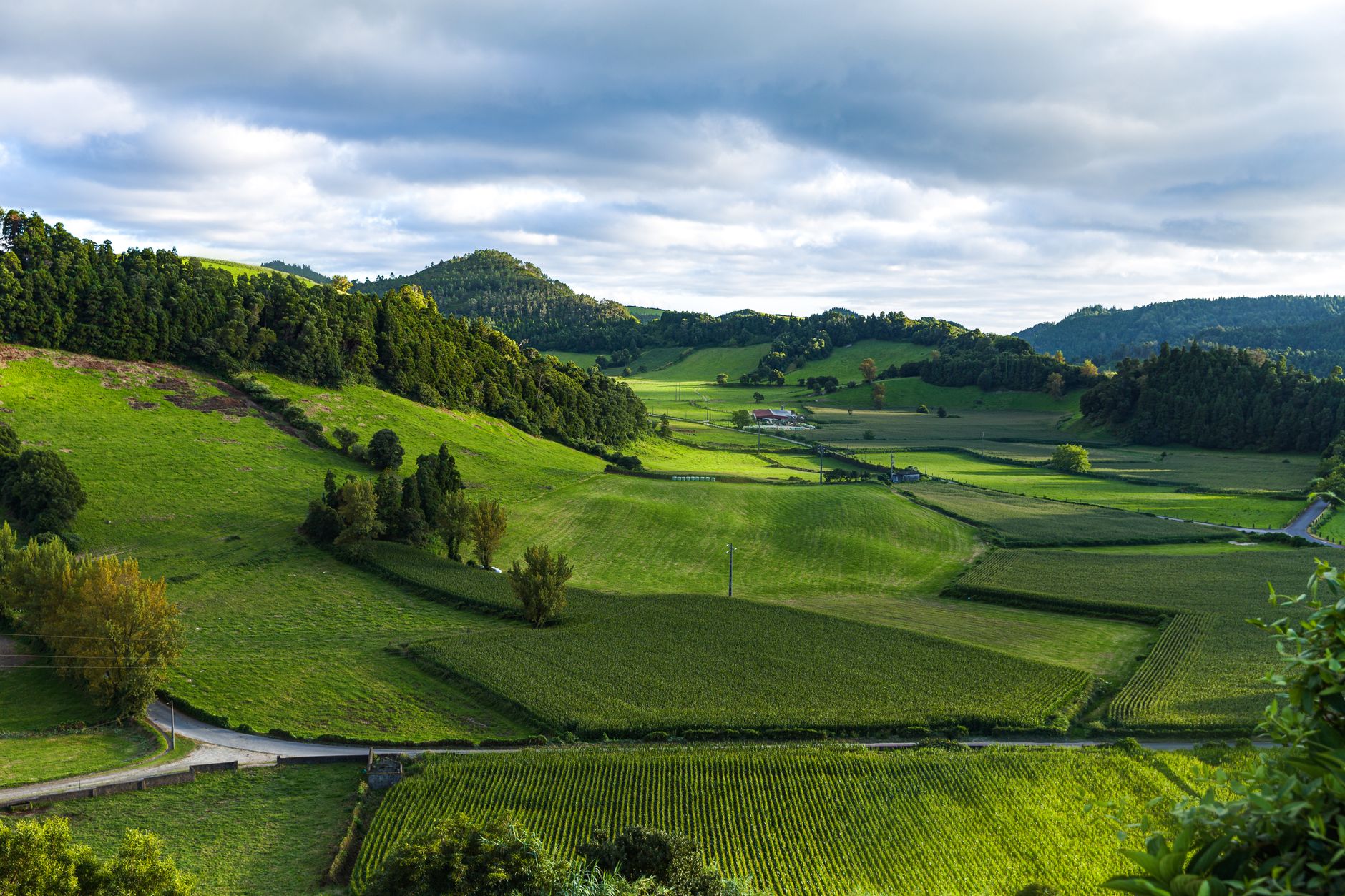 Green farm fields and rolling hills under a cloudy sky