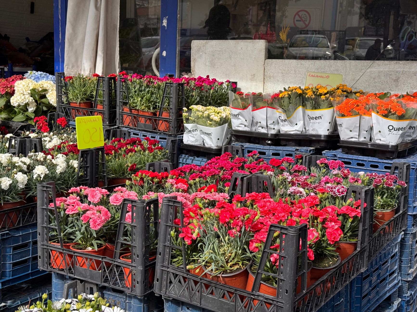 Crates of pink, red, and orange flowers displayed at an outdoor flower market