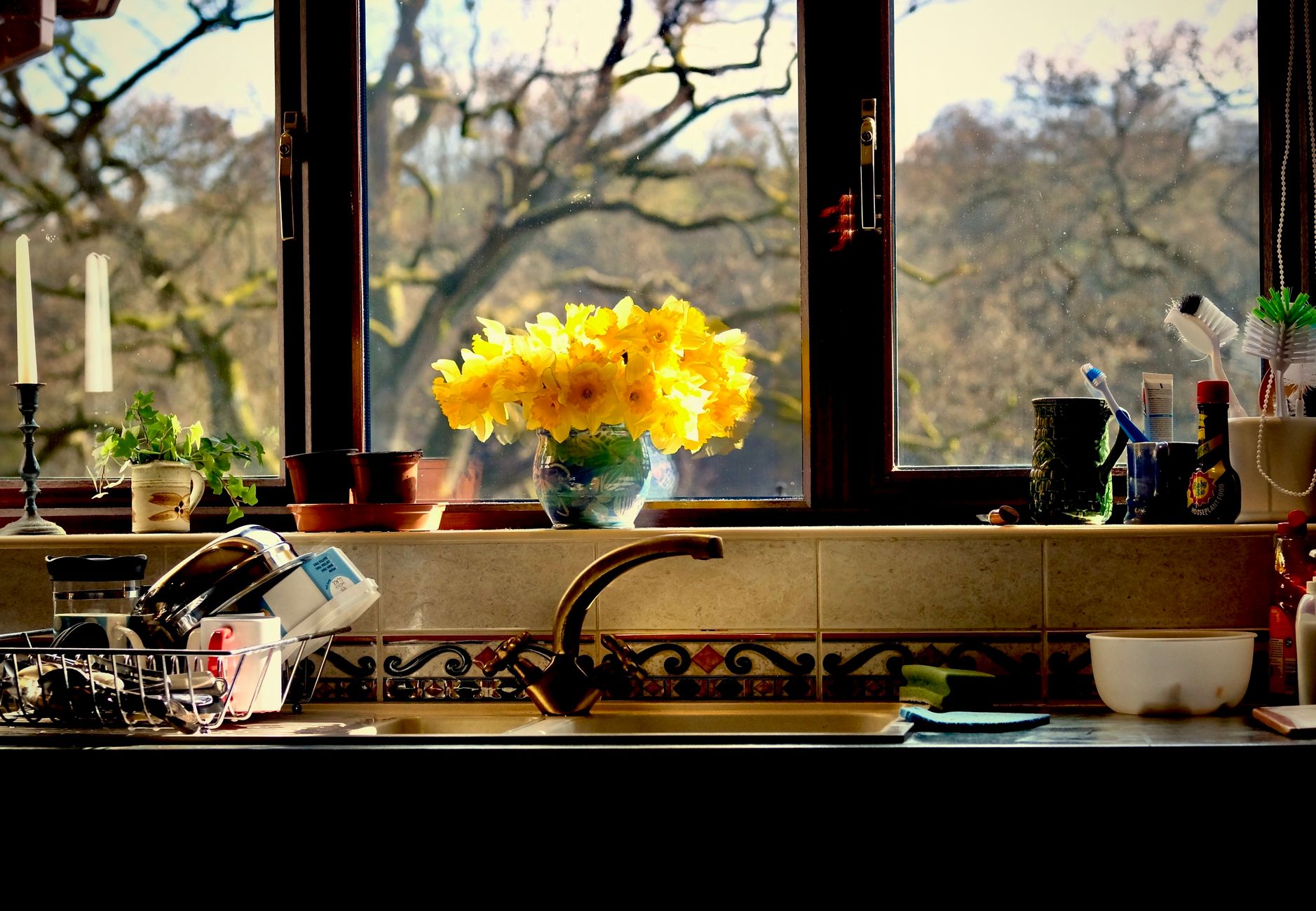A bunch of yellow daffodils in a glass vase on a kitchen windowsill above a sink