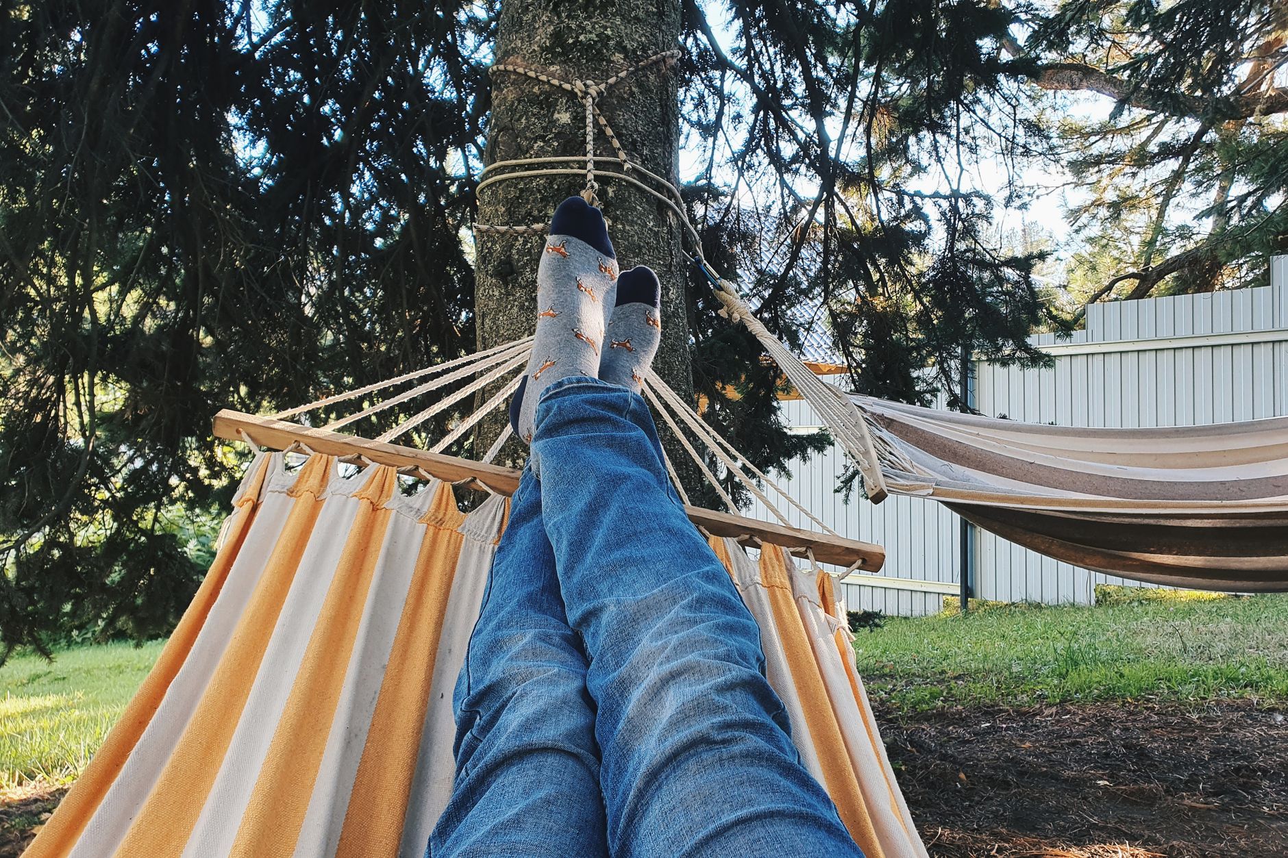 A person in jeans and patterned socks lying in a striped hammock under tall trees