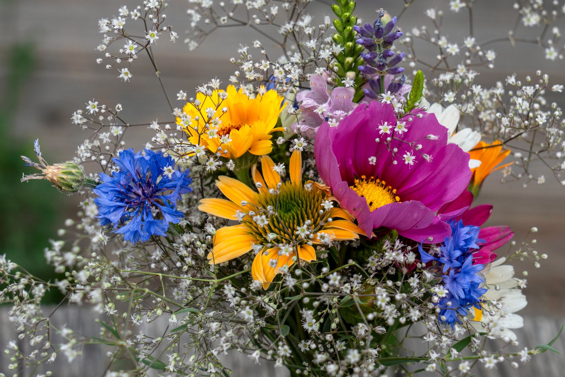 A vibrant mixed wildflower bouquet including cornflower, snapdragon, lavender, and cosmos